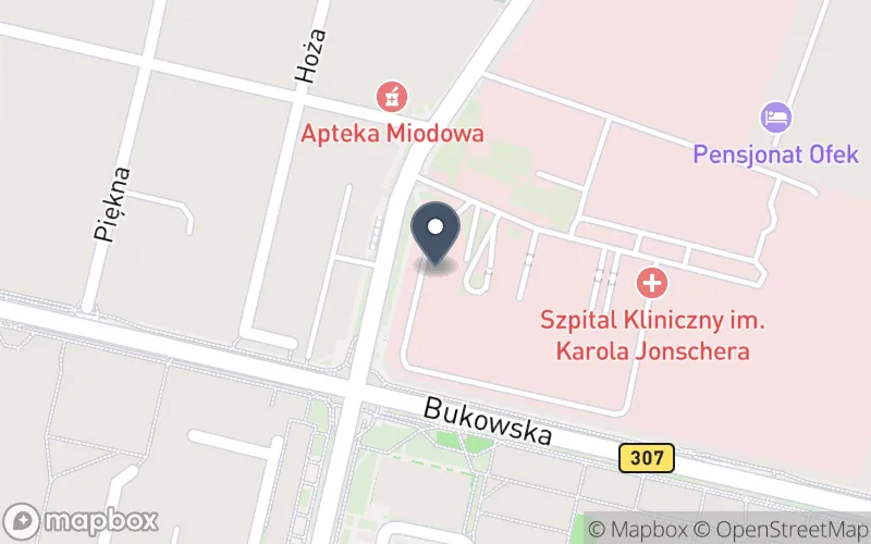 Lokalizacja: Zespół Szkół Specjalnych nr 110 dla Dzieci Przewlekle Chorych przy Szpitalu Klinicznym im. Karola Jonschera Uniwersytetu Medycznego w Poznaniu