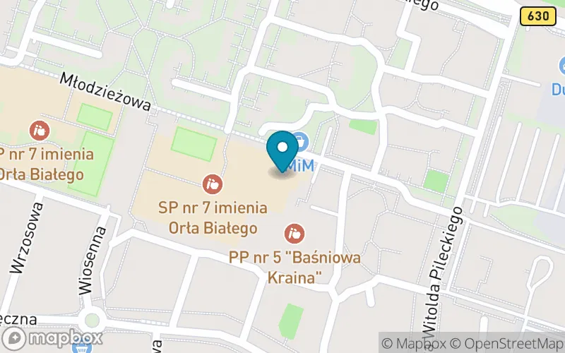 Lokalizacja: Szkoła Podstawowa nr 7 im. Orła Białego