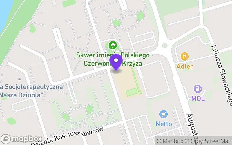 Lokalizacja: I Liceum Ogólnokształcące w Swarzędzu im. Witolda Gromadzkiego Niepubliczna Szkoła Fundacji Ekos z Oddziałami Dwujęzycznymi