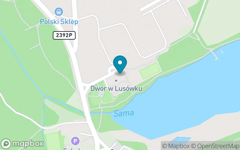 Lokalizacja: Prywatna Szkoła Podstawowa "Kuźnia Talentów"
