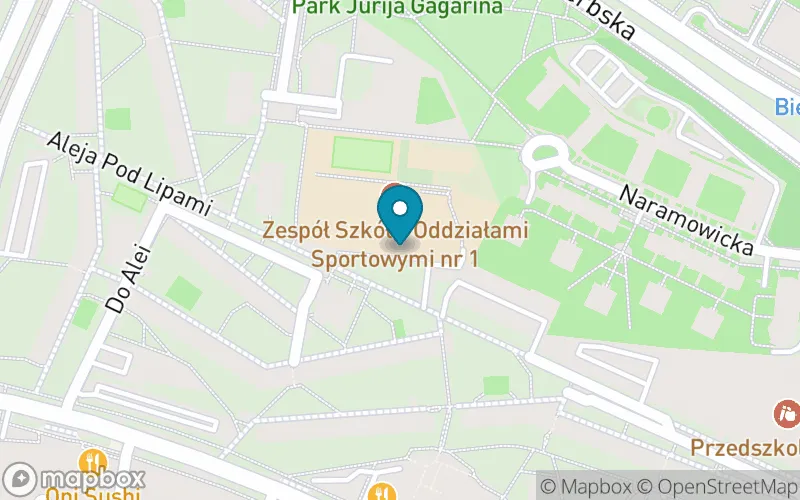 Lokalizacja: Szkoła Mistrzostwa Sportowego Remes w Poznaniu