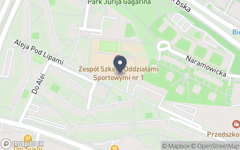 Lokalizacja: Zespół Szkół z Oddziałami Sportowymi nr 1