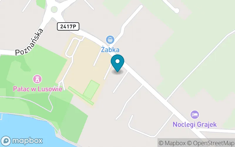 Lokalizacja: Szkoła Podstawowa im. Gen. Józefa Dowbora Muśnickiego w Lusowie