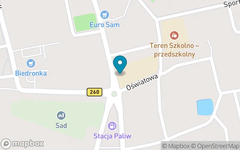 Lokalizacja: Szkoła Podstawowa nr 1 im. Adama Borysa