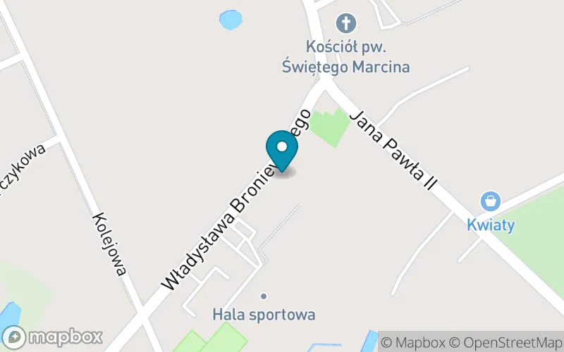 Lokalizacja: Szkoła Podstawowa im. Powstańców Wielkopolskich w Dusznikach
