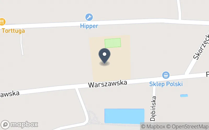 Lokalizacja: Zespół Szkół Ponadpodstawowych im. Dezyderego Chłapowskiego w Witkowie