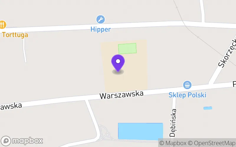 Lokalizacja: Technikum w Zespole Szkół Ponadpodstawowych im. Dezyderego Chłapowskiego w Witkowie