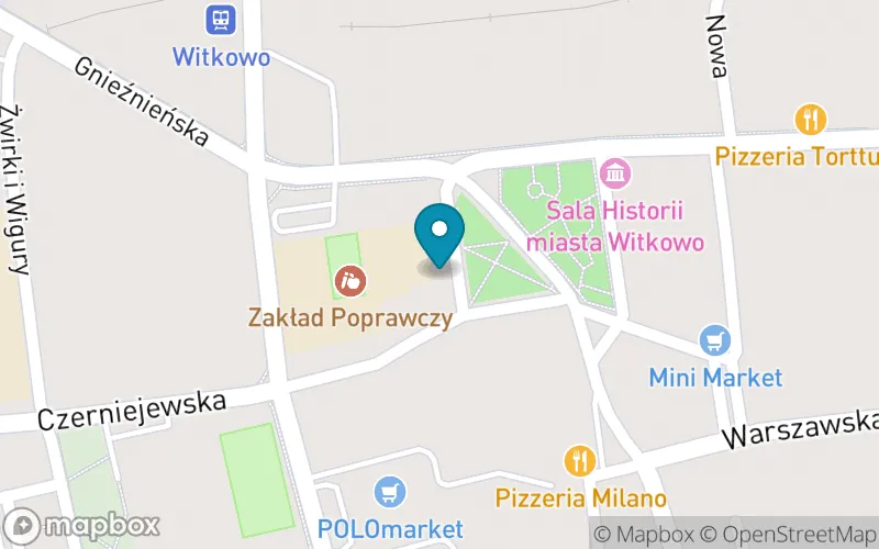 Lokalizacja: Szkoła Podstawowa nr 4 z Oddziałami Specjalnymi w Okręgowym Ośrodku Wychowawczym w Witkowie