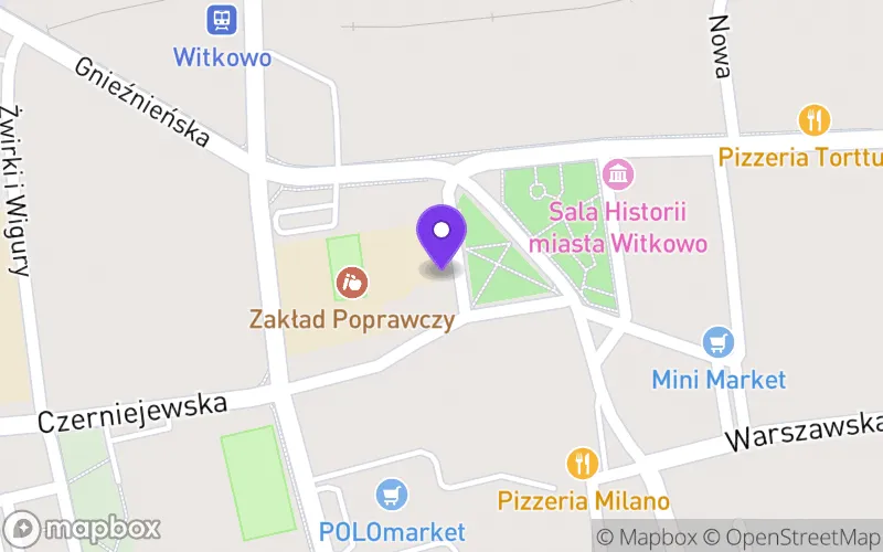 Lokalizacja: Branżowa Szkoła I Stopnia nr 2 z Oddziałami Specjalnymi w Okręgowym Ośrodku Wychowawczym w Witkowie