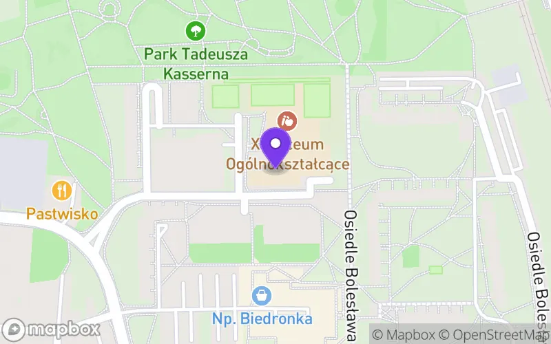 Lokalizacja: XV Liceum Ogólnokształcące im. P0rof. Wiktora Degi