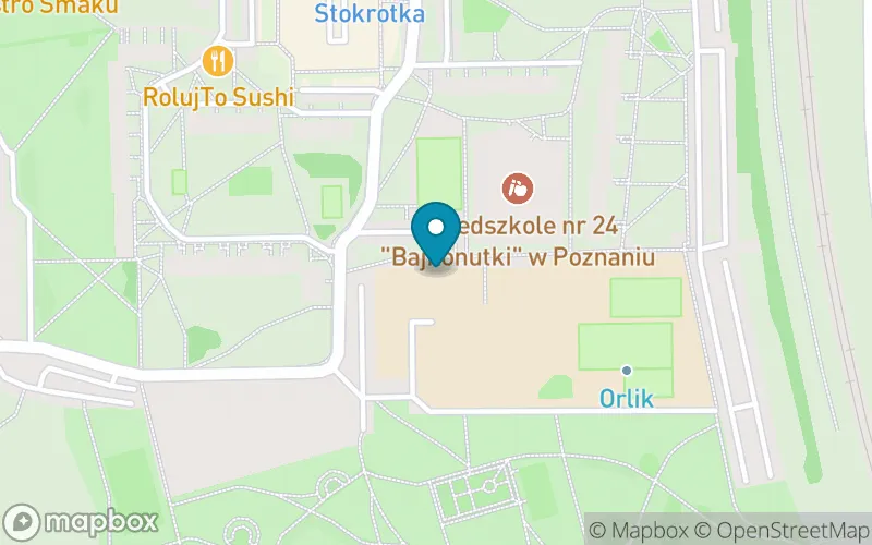 Lokalizacja: Szkoła Podstawowa nr 17 im. Józefa Ignacego Kraszewskiego