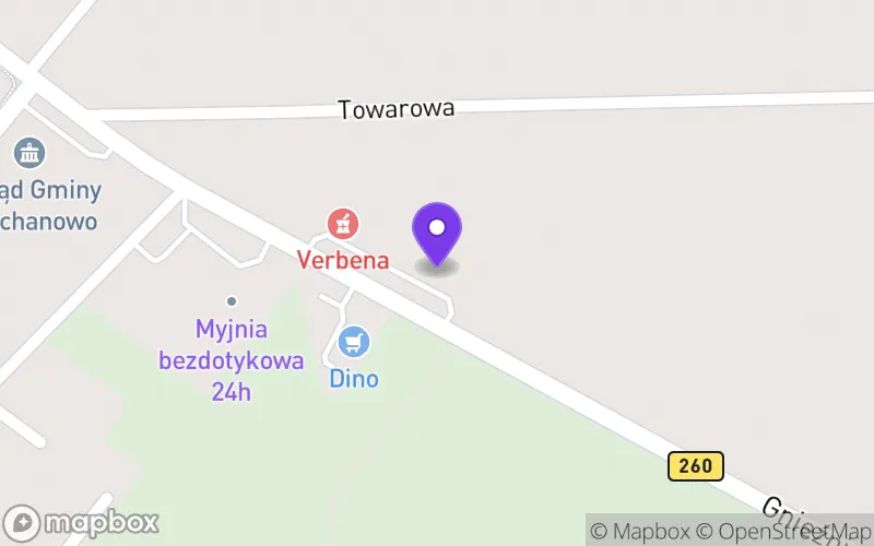 Lokalizacja: Branżowa Szkoła I Stopnia w Niechanowie