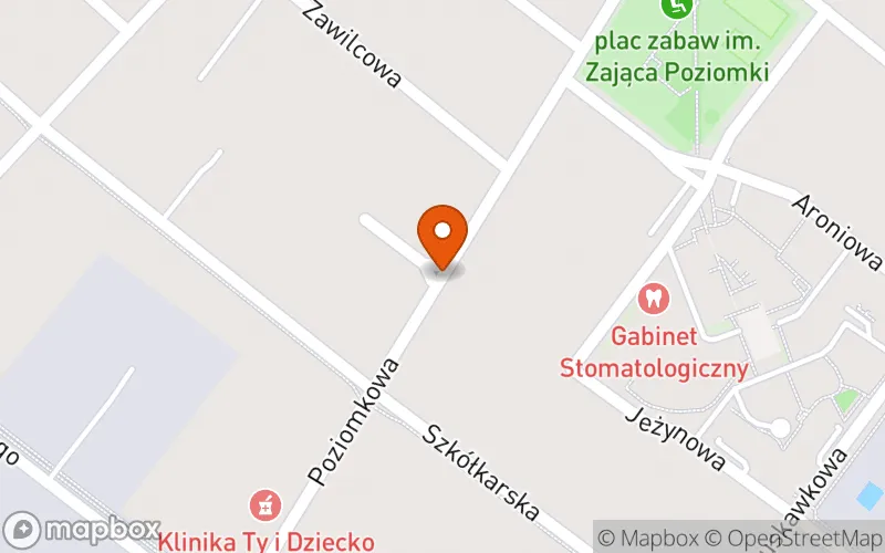 Lokalizacja: Żłobek "Petitek i Petitka" Anna Masadyńska