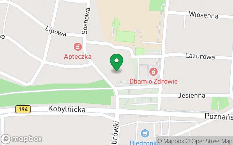 Lokalizacja: Przedszkole Junior w Jerzykowie