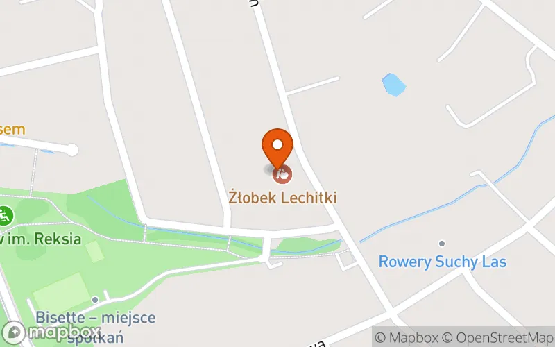 Lokalizacja: Żłobek Niepubliczny "Lechitki"