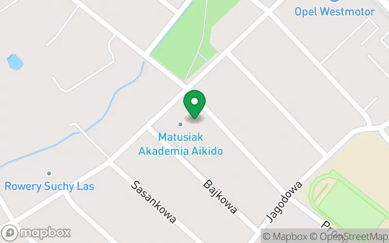 Lokalizacja: Przedszkole " Leśnych Ludków"