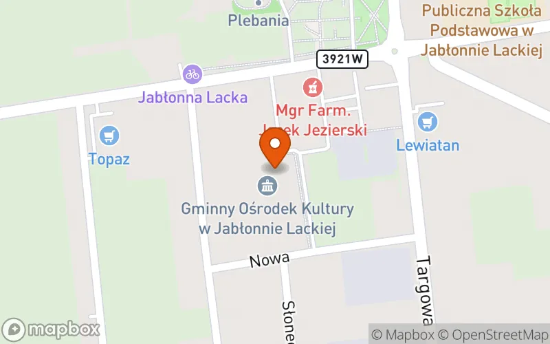 Lokalizacja: Klub dziecięcy "LEŚNE SKRZATY"