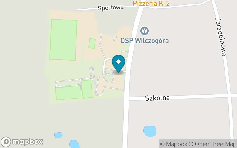 Lokalizacja: Szkoła Podstawowa im. Jana Pawła II w Wilczynie