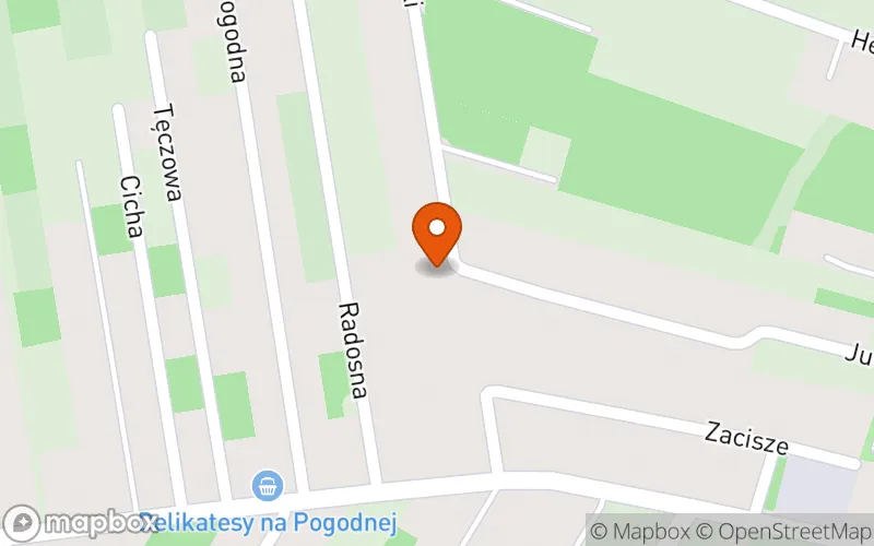 Lokalizacja: Niepubliczny Żłobek "Magiczny Las"