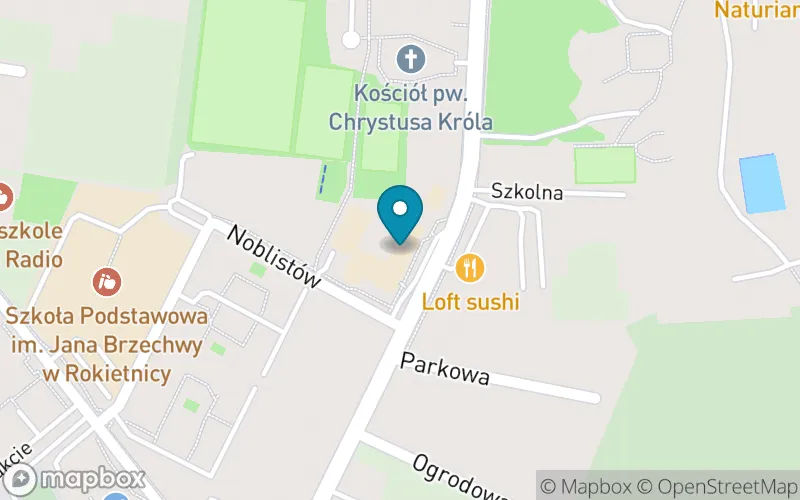 Lokalizacja: Szkoła Podstawowa im. Jana Brzechwy w Rokietnicy