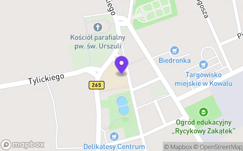 Lokalizacja: Technikum w Kowalu