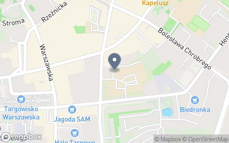 Lokalizacja: Centrum Kształcenia Ustawicznego w Gnieźnie