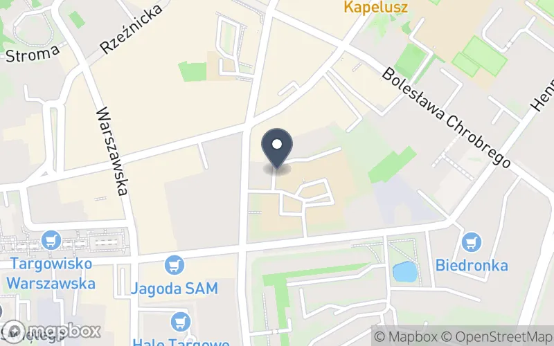 Lokalizacja: Wielkopolskie Samorządowe Centrum Kształcenia Zawodowego i Ustawicznego w Gnieźnie