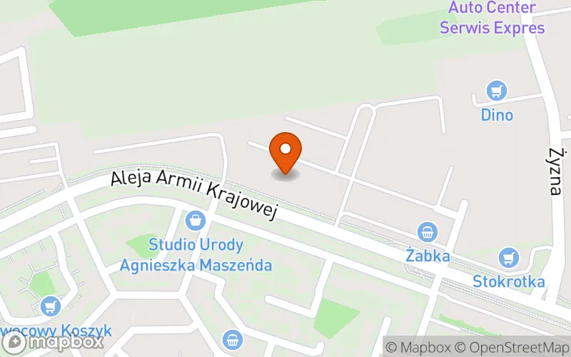 Lokalizacja: Żłobek Prywatny Pinokio