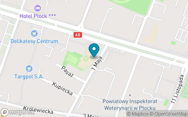 Lokalizacja: Szkoła Podstawowa nr 6 im. Druha Wacława Milke w Płocku