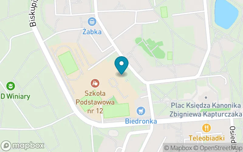 Lokalizacja: Szkoła Podstawowa nr 12 im. Prof. Adama Wodziczki