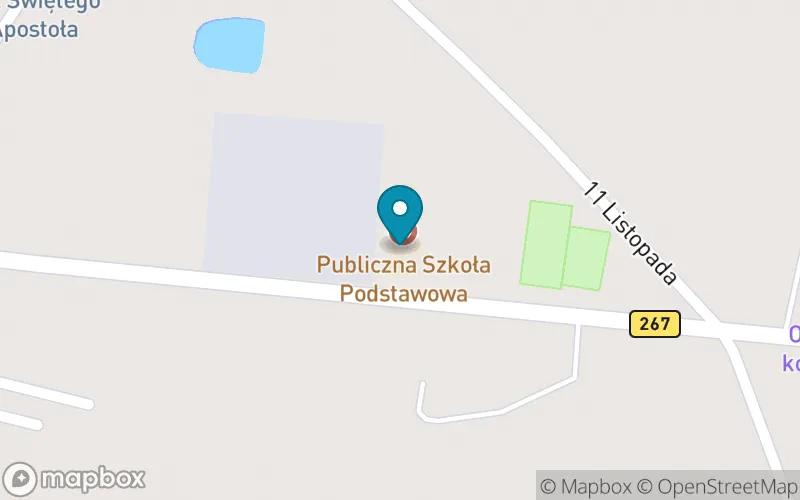 Lokalizacja: Publiczna Szkoła Podstawowa w Piotrkowie Kujawskim