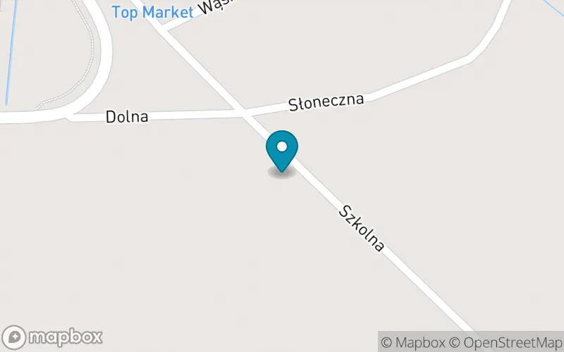 Lokalizacja: Szkoła Podstawowa im. Jana Brzechwy w Lucynowie