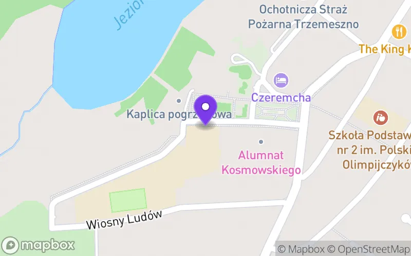 Lokalizacja: Branżowa Szkoła I Stopnia im. Hipolita Cegielskiego w Trzemesznie