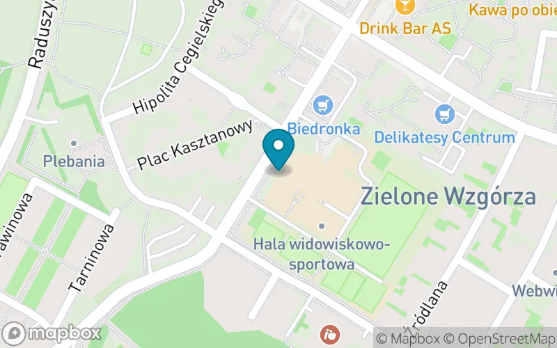 Lokalizacja: Szkoła Podstawowa nr 2 im. Henryka Sienkiewicza w Murowanej Goslinie