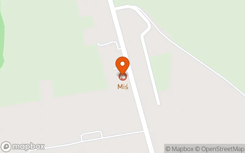 Lokalizacja: Żłobek "Miś"