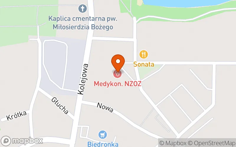 Lokalizacja: "Żłobek - Brzeskie Skrzaty"