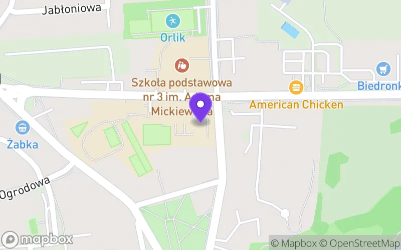 Lokalizacja: Technikum nr 1