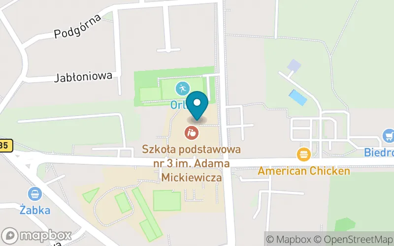 Lokalizacja: Szkoła Podstawowa nr 3 im. Adama Mickiewicza