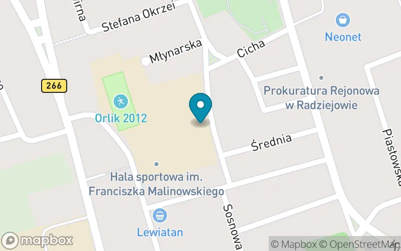 Lokalizacja: Publiczna Szkoła Podstawowa nr 1 im. Mikołaja Kopernika