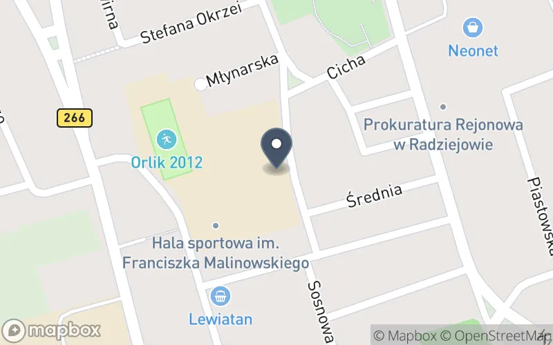 Lokalizacja: Miejski Zespół Szkół w Radziejowie