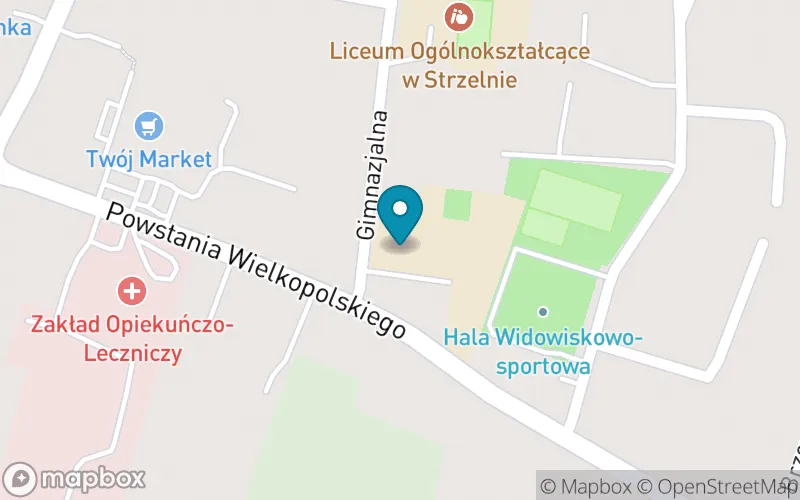 Lokalizacja: Szkoła Podstawowa im. Jana Dałkowskiego w Strzelnie