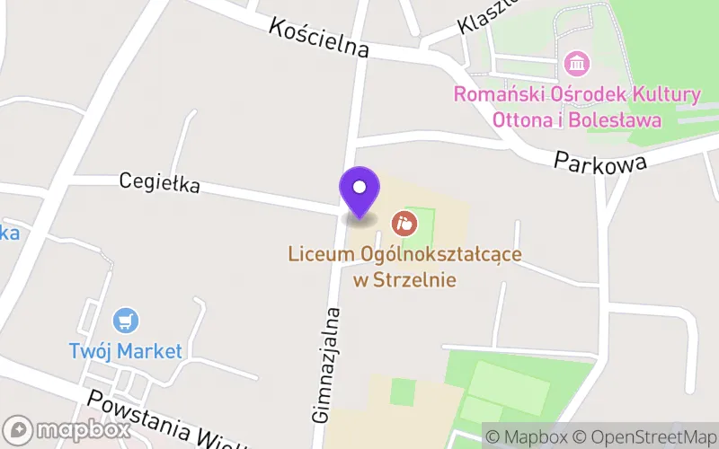 Lokalizacja: Liceum Ogólnokształcące im. i Armii Wojska Polskiego w Strzelnie