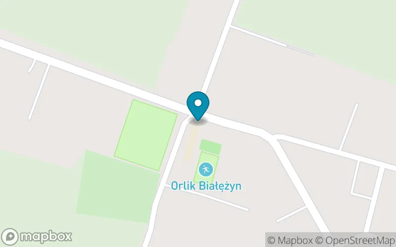 Lokalizacja: Szkoła Podstawowa im. Leona Masiakowskiego w Białężynie