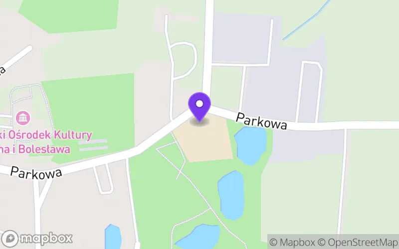 Lokalizacja: Specjalna Branżowa Szkoła I Stopnia w Strzelnie