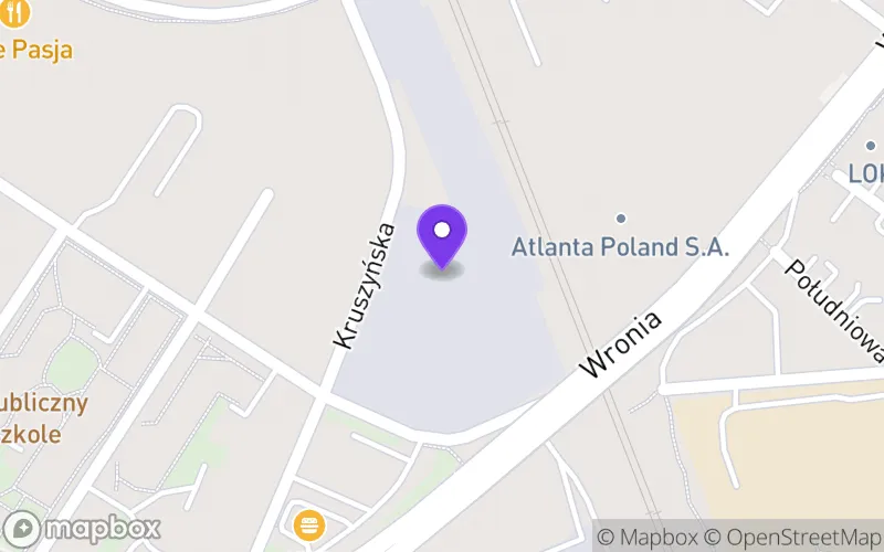 Lokalizacja: Branżowa Szkoła I Stopnia nr 9 w Zespole Szkół Włocławskiego Stowarzyszenia Oświatowego "Cogito"
