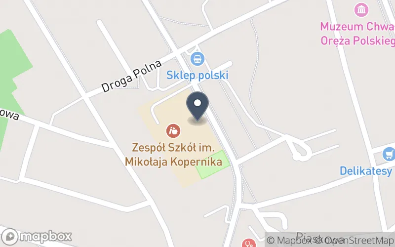 Lokalizacja: Zespół Szkół Samorządowych w Witnicy