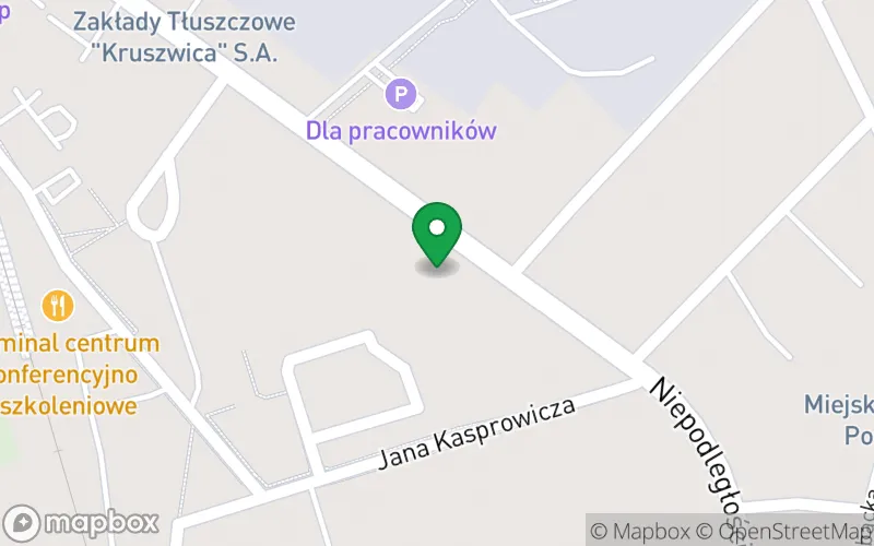 Lokalizacja: Przedszkole Samorządowe nr 3 im. Ewy Lewańskiej w Kruszwicy