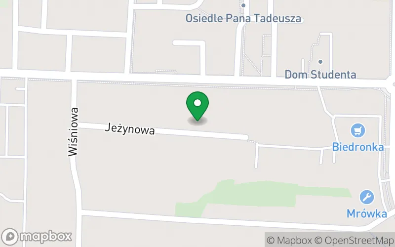 Lokalizacja: Publiczne Przedszkole „Kids’ Academy" w Pułtusku
