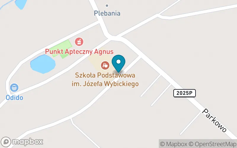 Lokalizacja: Szkoła Podstawowa im. Józefa Wybickiego w Parkowie