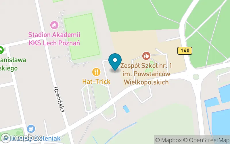 Lokalizacja: Niepubliczna Szkoła Podstawowa we Wronkach